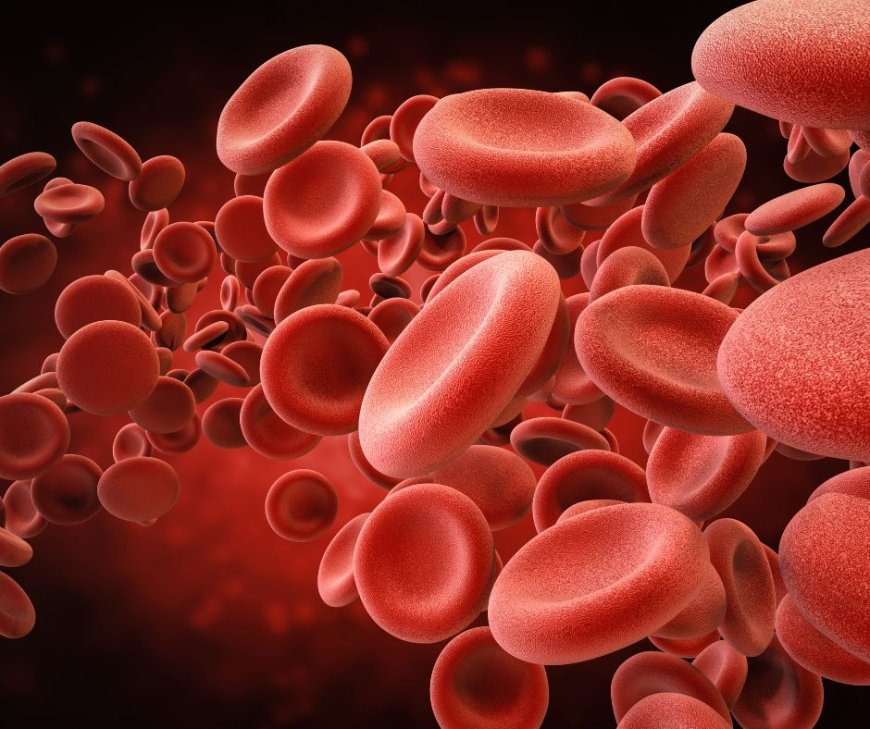 10 Foods to Increase Hemoglobin Levels in the Body