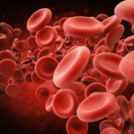 Foods to Increase Hemoglobin Levels in the Body