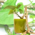 What is Giloy Giloy Benefits You Ayurveda