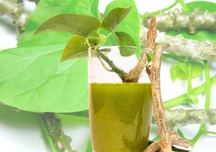 What is Giloy Giloy Benefits You Ayurveda